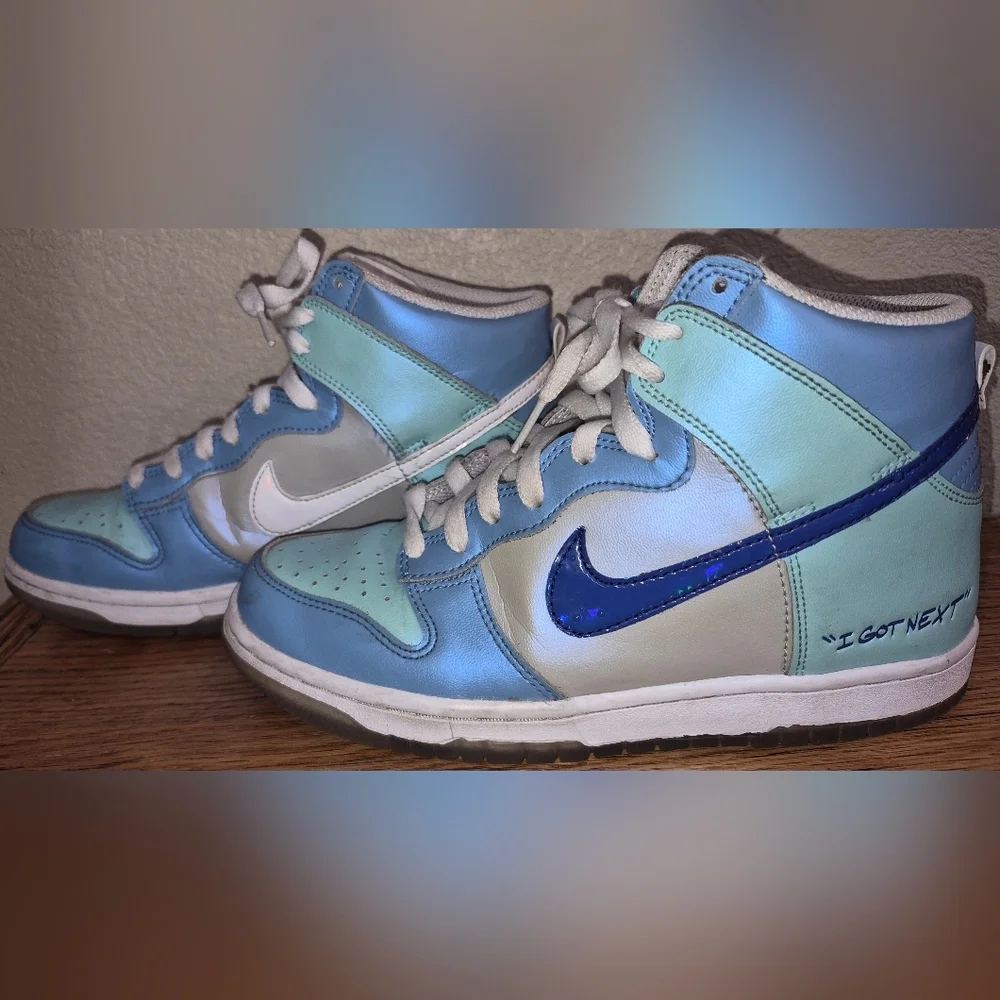 Nike Dunk High 